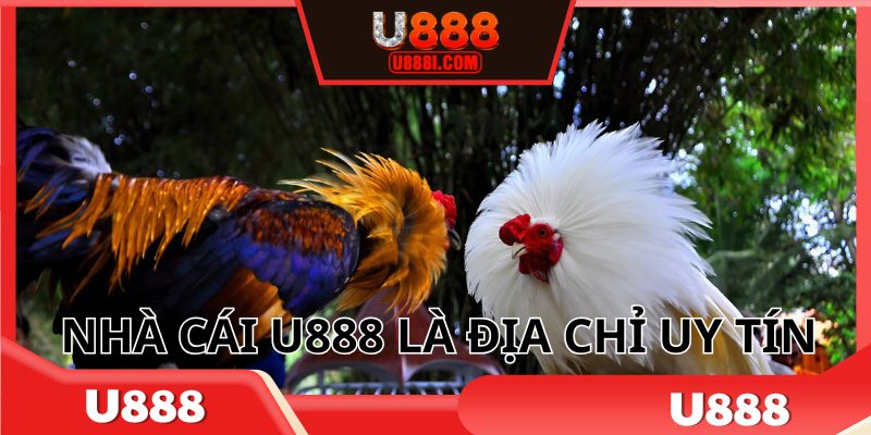 Nổi tiếng với sự uy tín, chuyên nghiệp hàng đầu