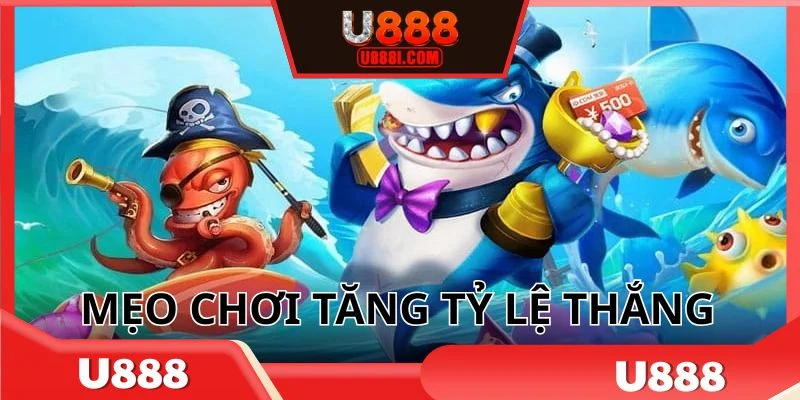 Chú ý trong cách sử dụng đạn khi tiêu diệt con mồi