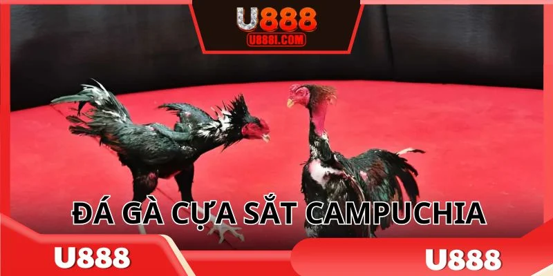da-ga-cua-sat-campuchia