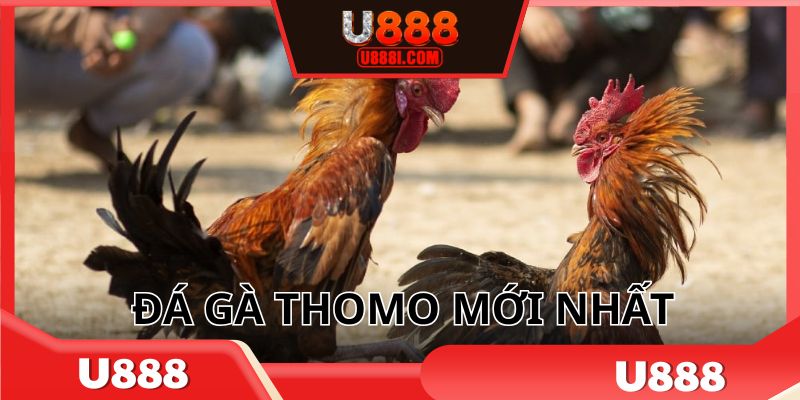 da-ga-thomo-moi-nhat