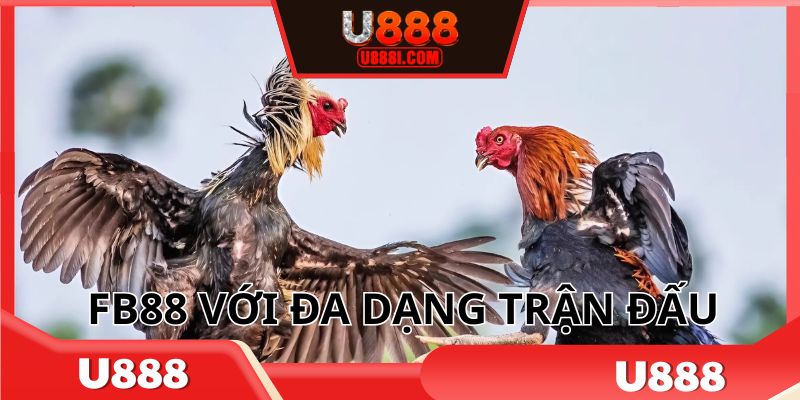 Hội viên tham gia nhiều trận đấu kịch tính