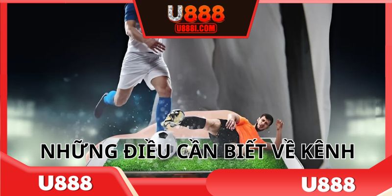 Thông tin xoay quanh hệ thống soi kèo nhà cái U888