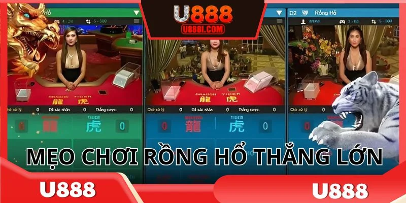 Thường xuyên theo dõi bảng kết quả sau mỗi ván cược