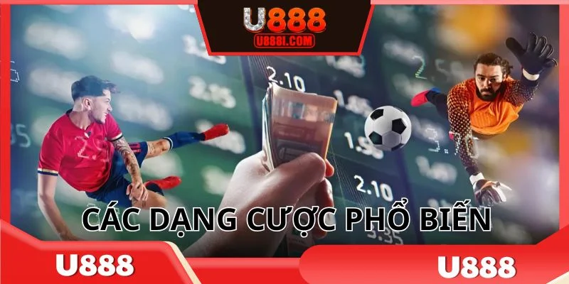 Tìm hiểu một số dạng cược chấp châu Á điển hình