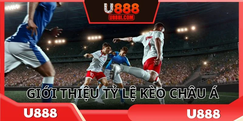 Vài nét cơ bản nhất về tỷ lệ kèo châu Á